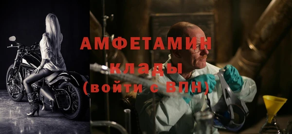 прущие грибы Балахна