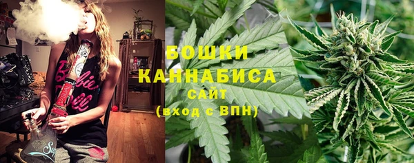 прущие грибы Балахна