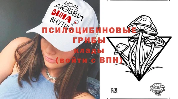прущие грибы Балахна