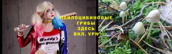 гашик Балабаново