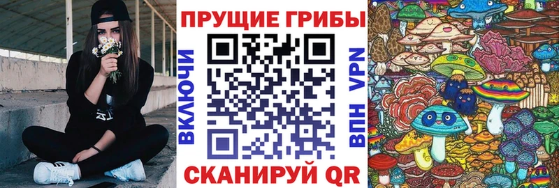 Псилоцибиновые грибы мухоморы даркнет сайт Протвино